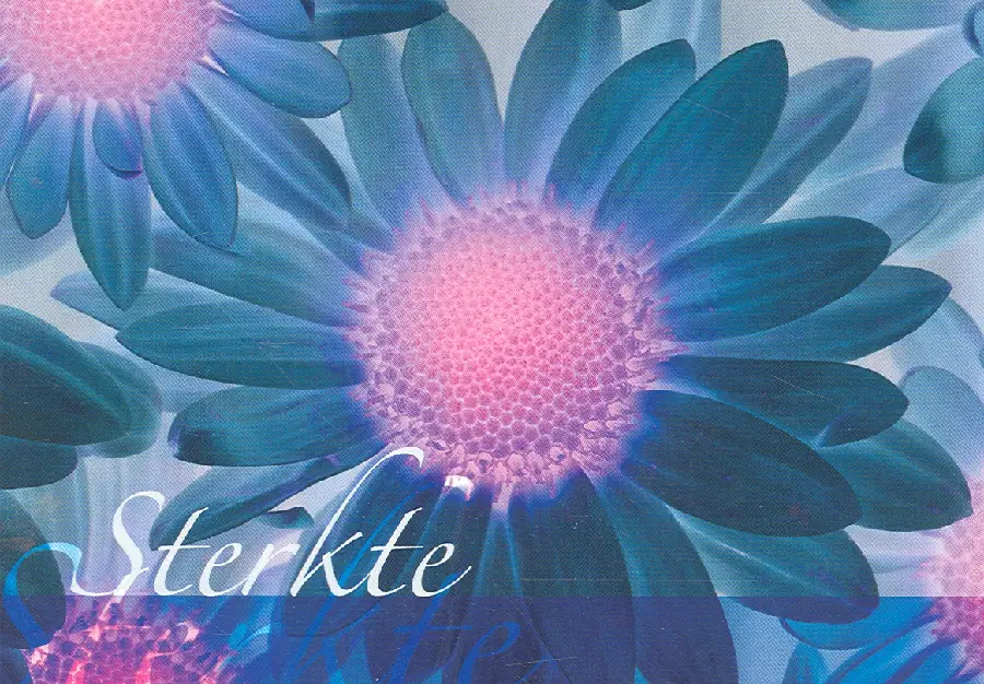 EK STERKTE ASS NBG BLOEM BLAD