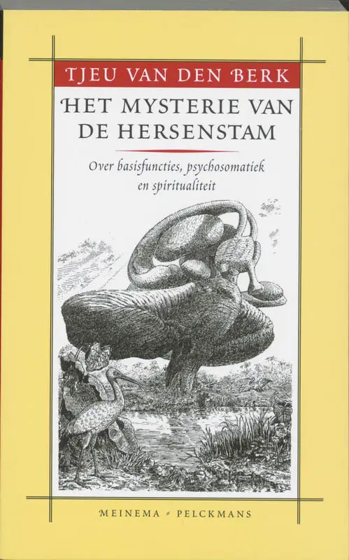 MYSTERIE VAN DE HERSENSTAM