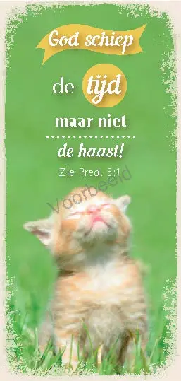 God schiep de tijd maar niet de haast